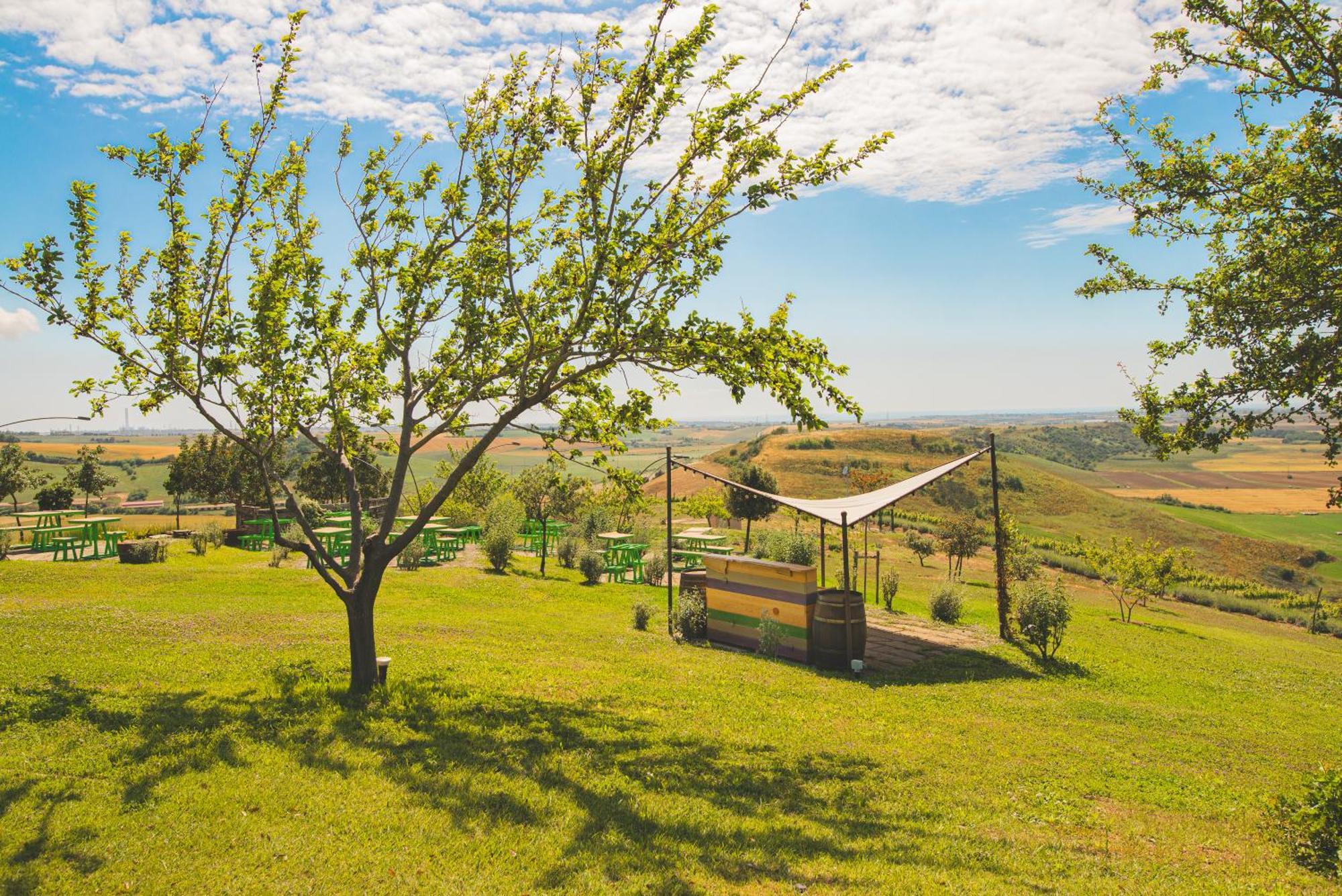 Casale Poggio Nebbia Villa Tarquinia Kültér fotó