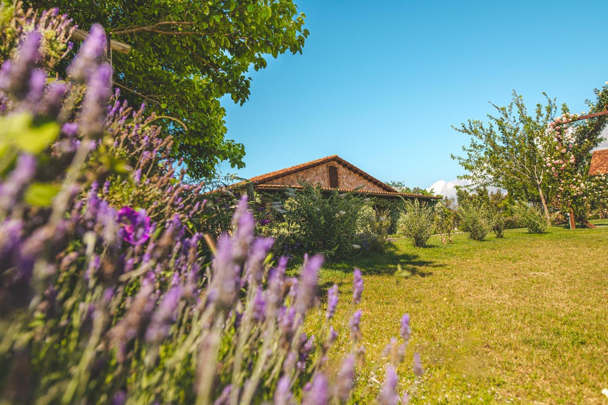 Casale Poggio Nebbia Villa Tarquinia Kültér fotó